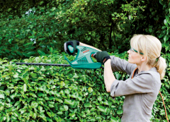 Bosch AHS 60-16