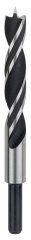 Bosch - Ahşap Matkap Ucu 15*160 mm
