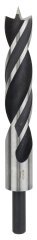 Bosch - Ahşap Matkap Ucu 26*215 mm