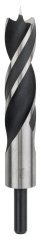 Bosch - Ahşap Matkap Ucu 30*220 mm
