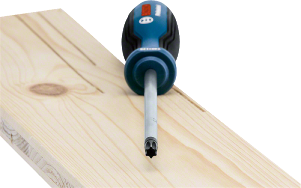 Bosch Profesyonel Torx Tornavida TX40x125